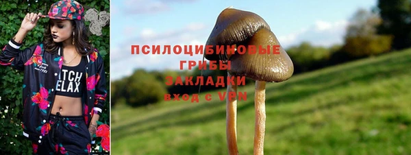 ПСИЛОЦИБИНОВЫЕ ГРИБЫ Иннополис
