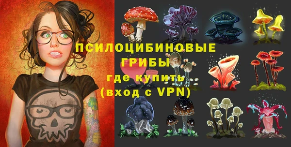 ПСИЛОЦИБИНОВЫЕ ГРИБЫ Иннополис