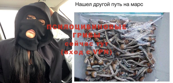 ПСИЛОЦИБИНОВЫЕ ГРИБЫ Иннополис